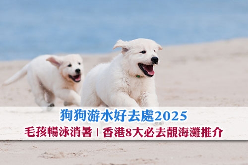 狗狗游水好去處2025-帶毛孩暢泳消暑-香港8大必去靚海灘推介
